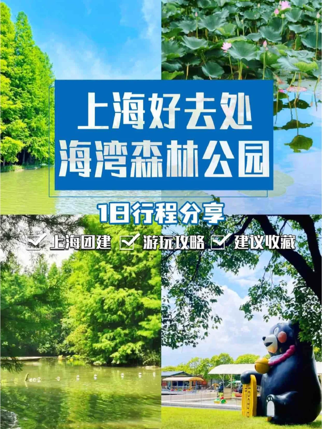 上海曼恒高管都有谁_上海曼恒招聘_上海曼恒待遇那么好