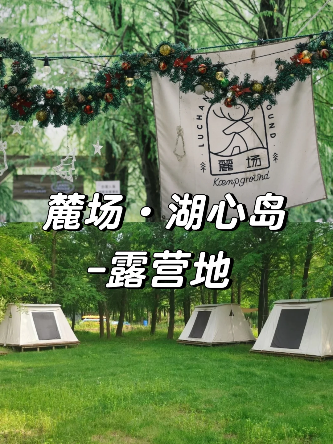 上海曼恒高管都有谁_上海曼恒招聘_上海曼恒待遇那么好