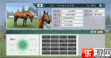 赛马大亨8技能介绍,赛马大亨2024