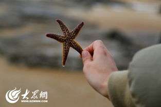 海星受难者