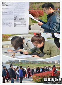 团队游戏的心得体会,从游戏体验