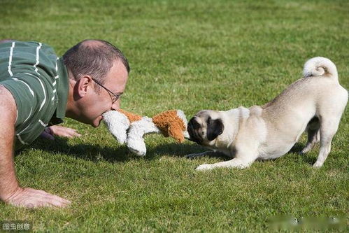 泡泡大作战游戏手机游戏 