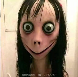 双人游戏挑战 