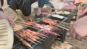 野餐大冒险手机版中文下载 