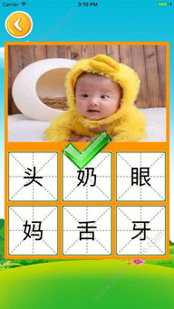 宝宝爱识字游戏下载,游戏下载开启智慧之旅