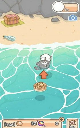 海獭家族 海獭家族