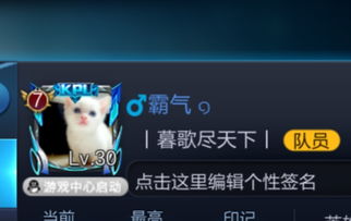 王者荣耀游戏网名符号,个性化游戏身份的创意指南