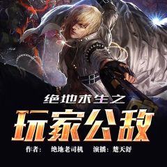 桌面语音小组件 