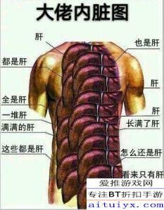 一键 *** 测速大师 