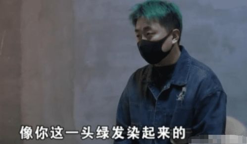 填充头发中文版最新2024手游下载地址 