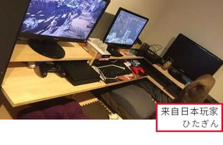 后室游戏手机版 