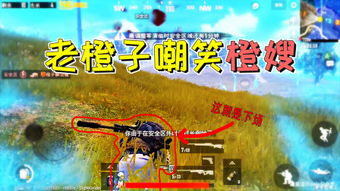 草莓影视电视剧免费观看 
