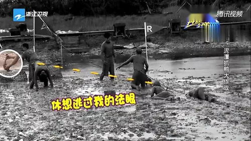 泥潭游戏,探寻虚拟世界的生存法则与人性考验