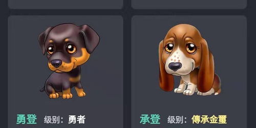 宠物翻译专家宠物翻译器免费下载v1.0.0最新版2024 