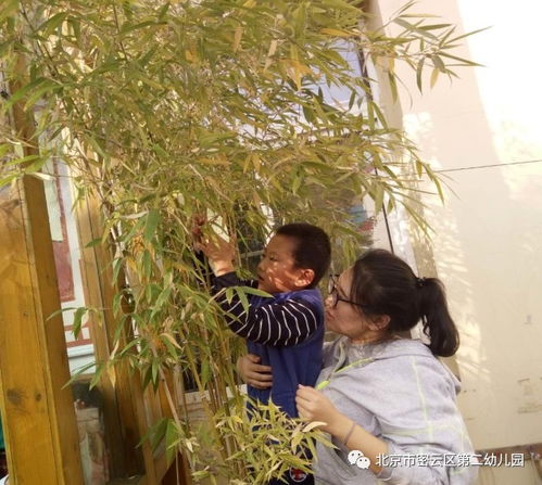 泥泞卡车越野货物游戏手机版 