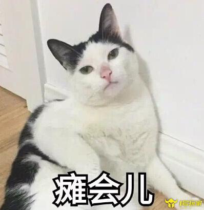 皮皮猫漫画app官网版下载 