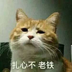 泡泡大作战游戏手机游戏 