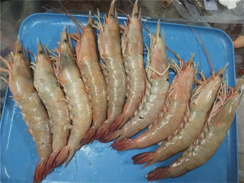 金手指游戏修改器 