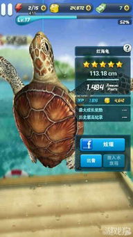 乌龟影视 