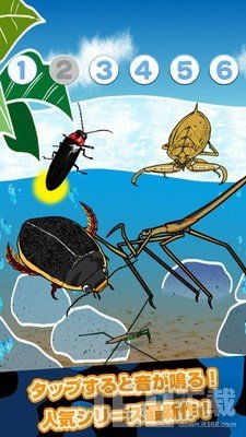 关于昆虫的游戏,探索奇妙昆虫世界的欢乐冒险之旅